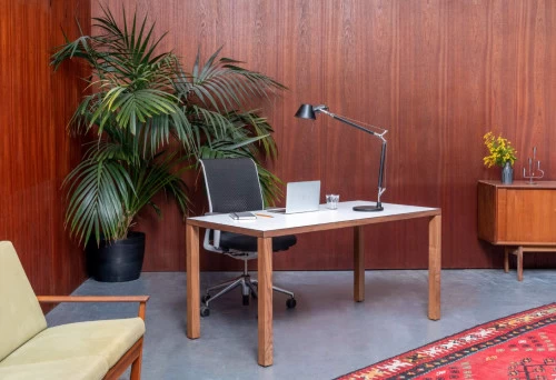 James Burleigh Bosa Walnut White 1