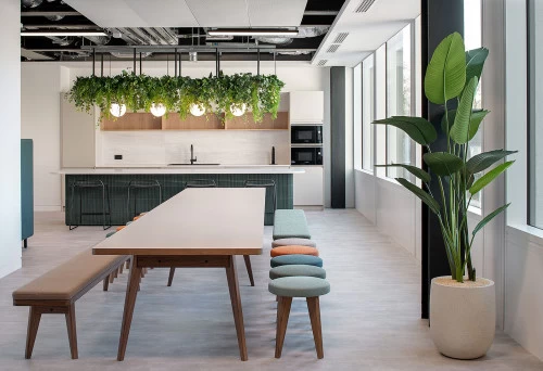 Eastbourne terrace James Burleigh Osprey 1