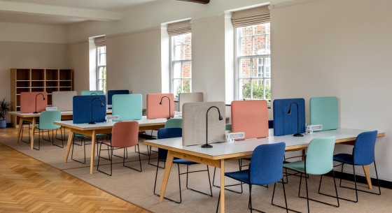 Lord Wandsworth College Pea Green Studios James Burleigh 4