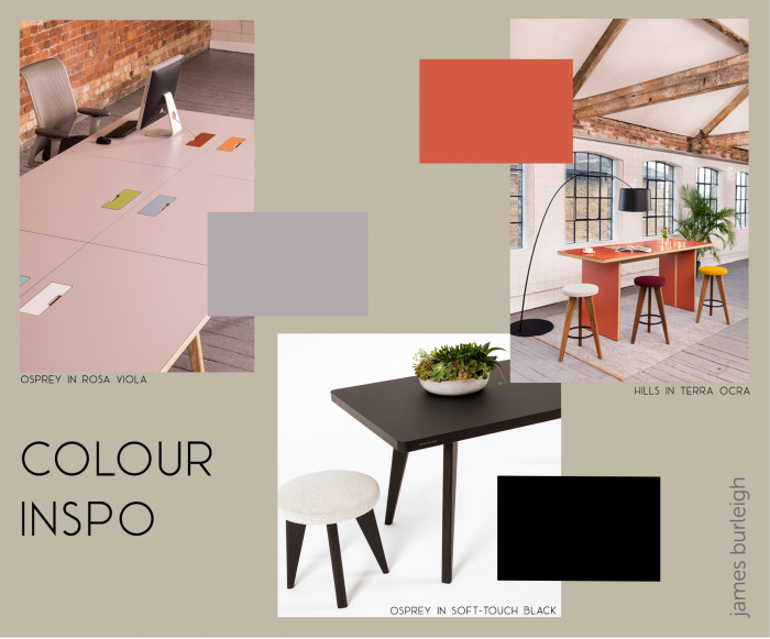 Colour Inspo